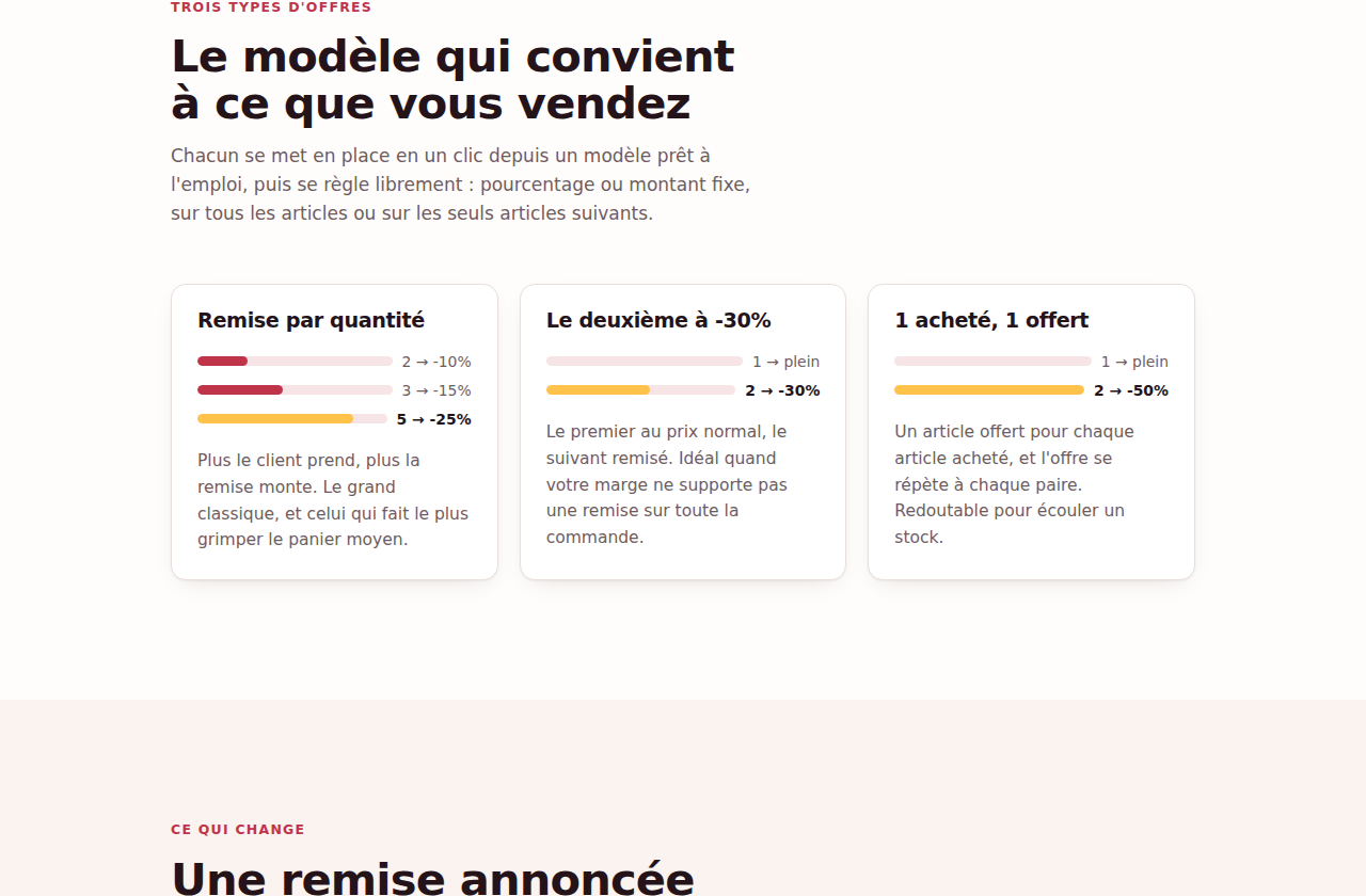 Les trois types d'offres proposés : remise par quantité, deuxième remisé, 1 acheté 1 offert